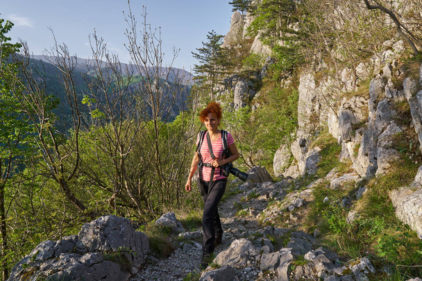 Active woman on a hiking trail in forest - Fotó, kép