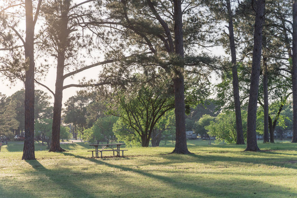 Mesas de picnic de metal vacías en el hermoso parque con muchos árboles al atardecer en América
 - Foto, Imagen