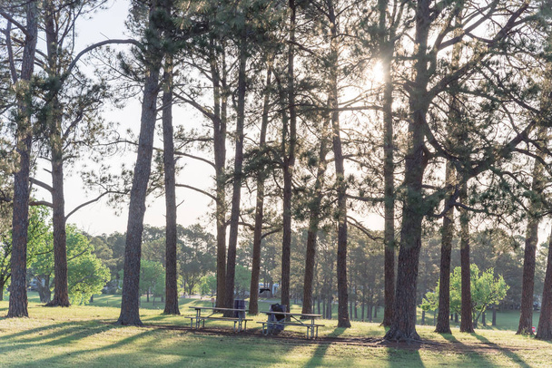 Металлические столы для пикника в американском парке окружены большим количеством деревьев с прорывающимся солнцем
 - Фото, изображение