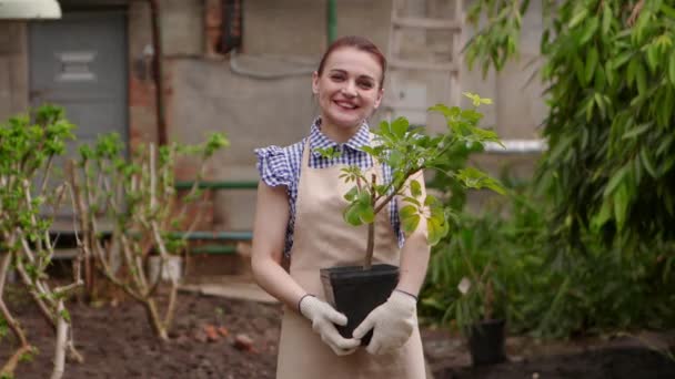 温室内の女性庭師はカメラを見て笑顔で植物と鍋を保持しています. - 映像、動画