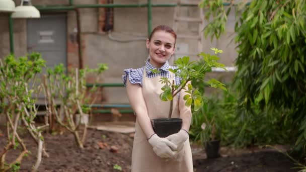 温室内の女性庭師はカメラを見て笑顔で植物と鍋を保持しています. - 映像、動画