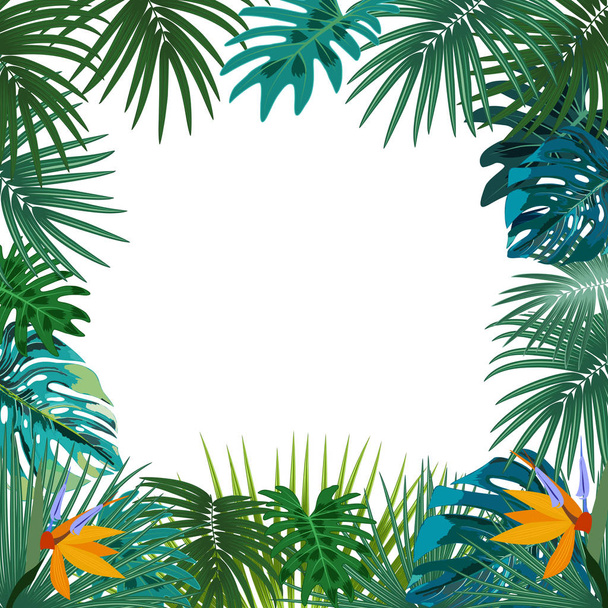 Frame van de tropische jungle van de vector met palmbomen en bladeren op wit - Vector, afbeelding
