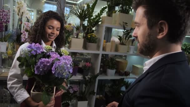 Cute florist advising buyer growing potted flower - Footage, Video