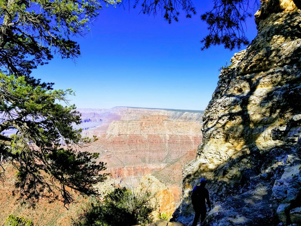 Patikointi Grand Canyonissa Arizona
 - Valokuva, kuva
