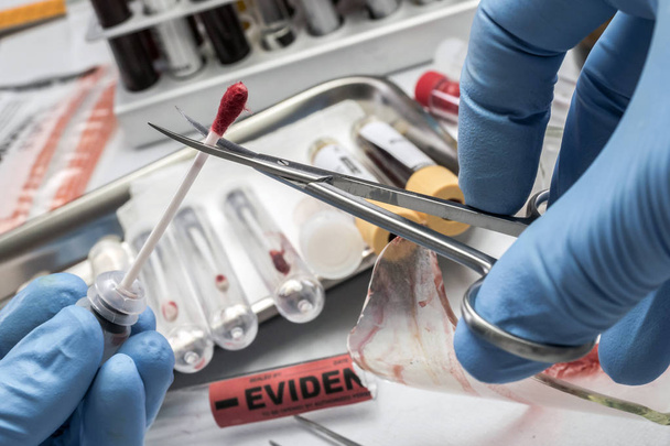 Kriminologischer Polizeibeamter schneidet mit Schere Ysop mit Blutprobe, die im Labor analysiert wird, konzeptionelles Bild - Foto, Bild