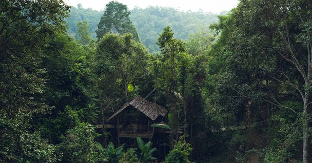 faház az erdőben  - Fotó, kép