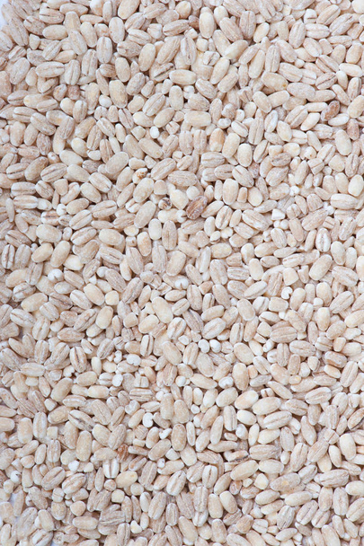 Montón de granos de cebada perla
 - Foto, imagen