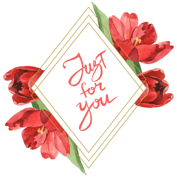 Piros tulipán, zöld levelei fehéren izoláltak. Akvarell háttér illusztráció meg. Keret virágok és csak neked felirat. - Fotó, kép