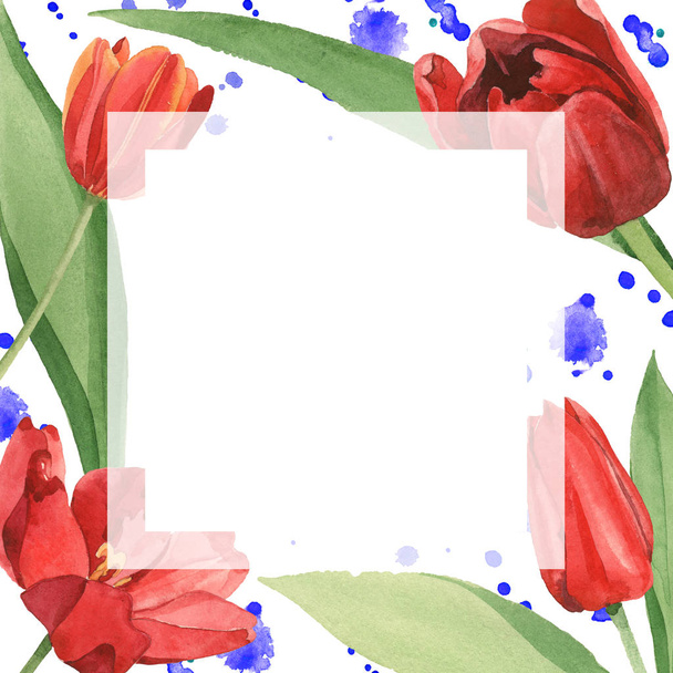 Red tulips with green leaves illustration isolated on white. Frame ornament with blue paint spills and copy space. - Photo, Image