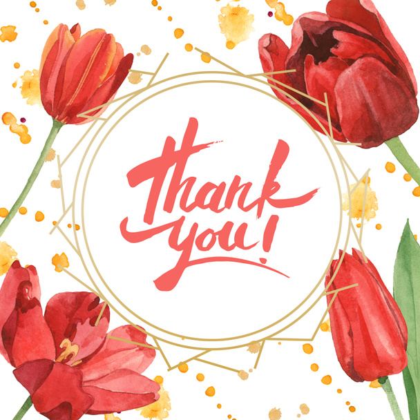 Red tulips with green leaves isolated on white. Watercolor background illustration set. Frame with flowers and thank you inscription. - 写真・画像