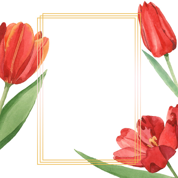 Red tulips with green leaves illustration isolated on white. Frame ornament with copy space. - Photo, Image