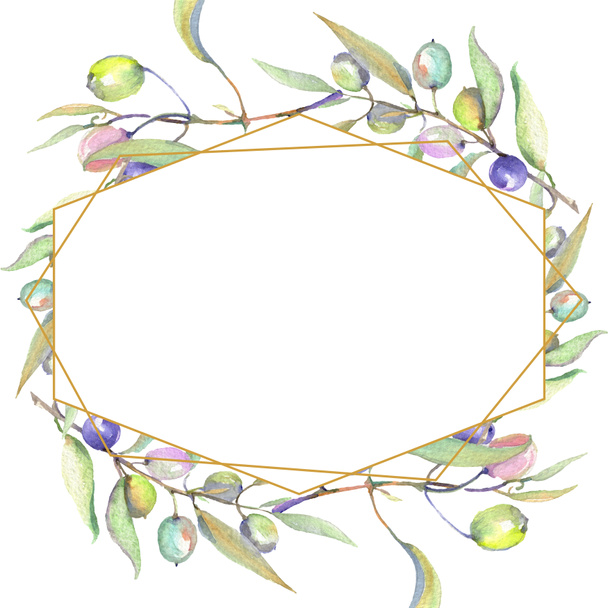 緑の果実と葉とオリーブの枝は、白に分離しました。●水彩背景イラストセット。コピースペース付きフレームオーナメント. - 写真・画像