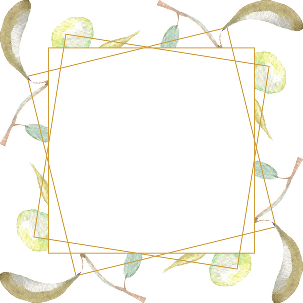 Ramas de olivo con fruta verde y hojas aisladas en blanco. Conjunto de ilustración de fondo acuarela. Adorno del marco con espacio de copia
. - Foto, imagen
