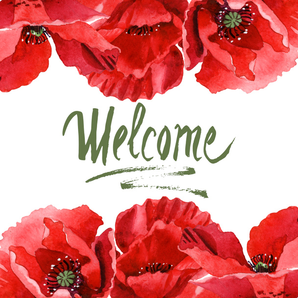 Red poppies isolated on white. Watercolor background illustration set. Frame ornament with welcome lettering. - Photo, Image