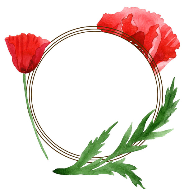 Red poppies with green leaves isolated on white. Watercolor background illustration set. Frame ornament with copy space. - Fotoğraf, Görsel