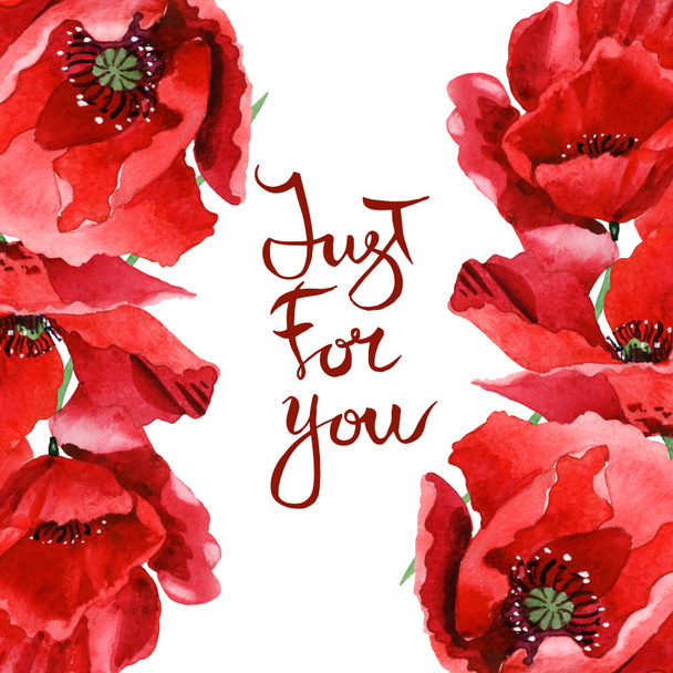 Red poppies isolated on white. Watercolor background illustration set. Frame ornament with just for you lettering. - Photo, Image