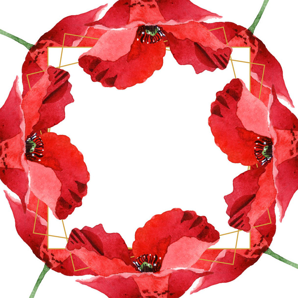 Red poppies isolated on white. Watercolor background illustration set. Frame ornament with copy space. - Photo, Image