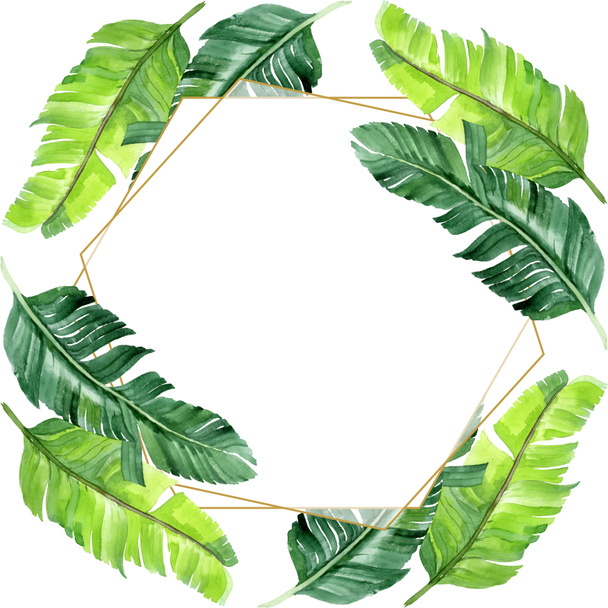 Exotic tropical hawaiian palm tree leaves isolated on white. Watercolor background illustration set. Frame ornament with copy space. - 写真・画像