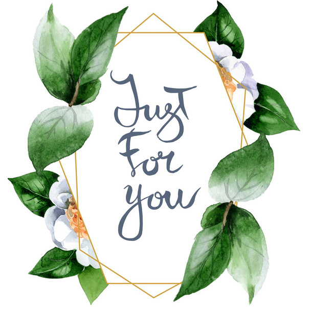 White camellia flowers with green leaves isolated on white. Watercolor background illustration set. Frame border ornament with just for you lettering. - 写真・画像