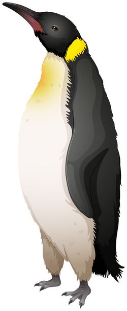 ペンギン天皇 - ベクター画像
