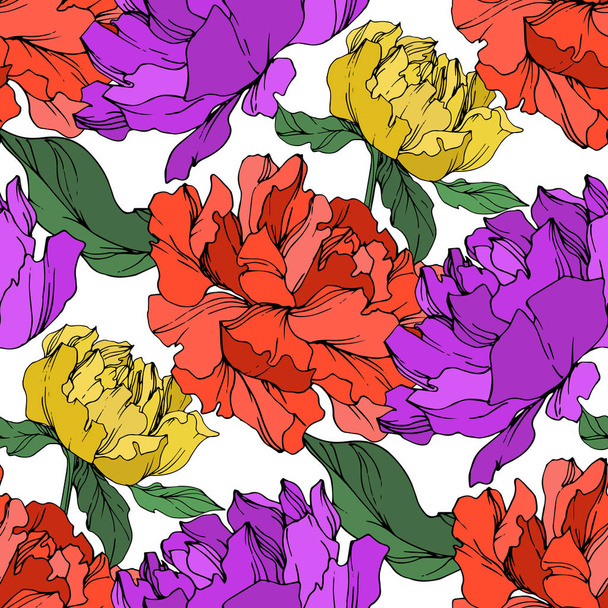 Vector multicolored peonies with leaves isolated on white. Seamless background pattern.  - Вектор,изображение