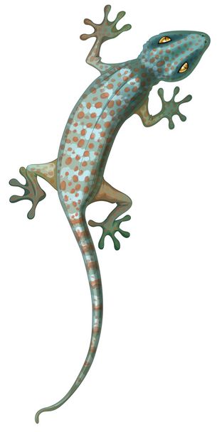 Tokay Gecko.
 - Vector, Imagen