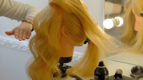 chica estudiante peluquero hace peinado en la cabeza de maniquí con pelo largo y rubio en peluquería ligera
 - Imágenes, Vídeo