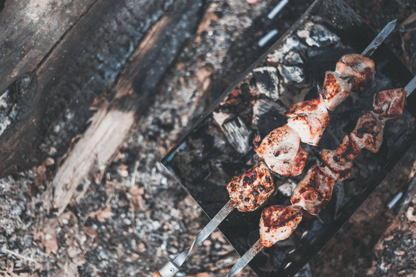 Close-up barbecue pork shashlik on the grill in nature - Photo, Image