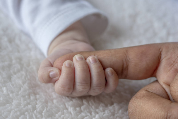 novorozené dítě drží prst matky - Fotografie, Obrázek
