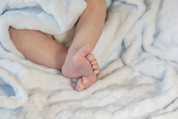 Pieds bébé sur couverture bleue
 - Photo, image