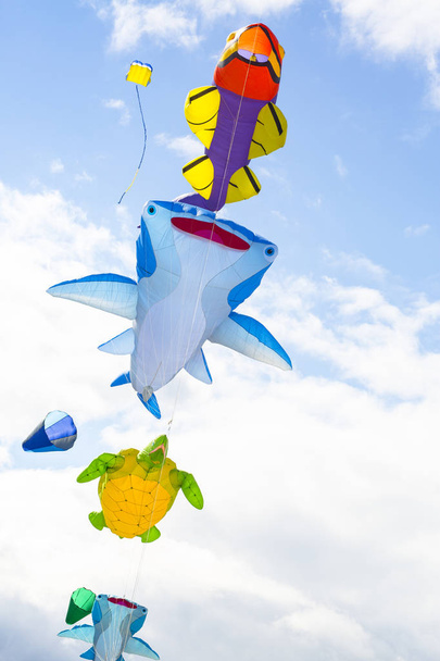 Cometa voladora con forma de animales marinos
 - Foto, Imagen
