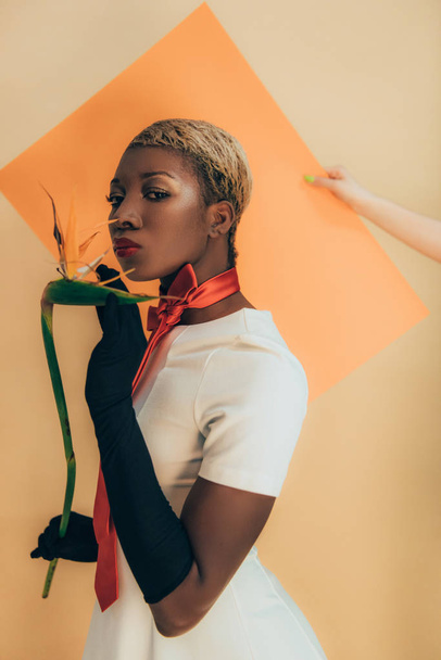 african american model in black gloves posing with Strelitzia flower on beige and orange - Photo, Image