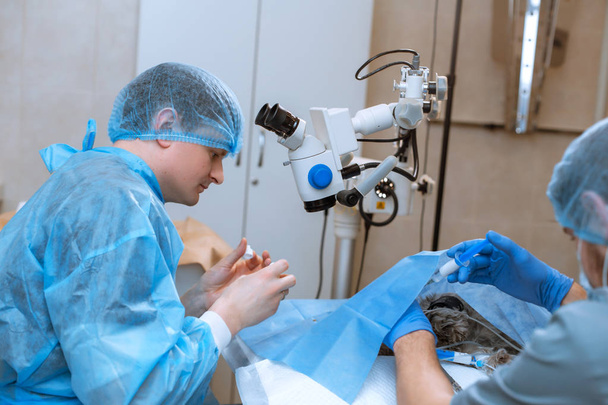 A professional ophthalmologist performs eye surgery with a micro - Fotoğraf, Görsel