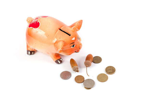 Piggy bank and acorns on white background - Foto, Imagen
