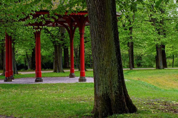 красивые цвета природы в весеннем парке
 - Фото, изображение