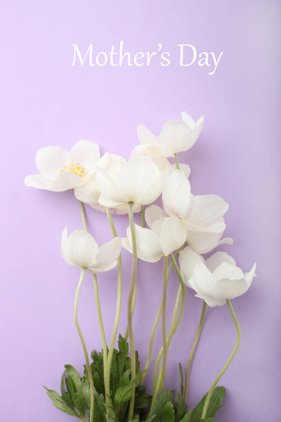 Flor de anêmona branca
 - Foto, Imagem