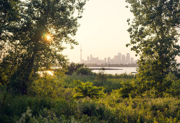 A késő napos kilátás belváros Toronto keresztül fák - Fotó, kép