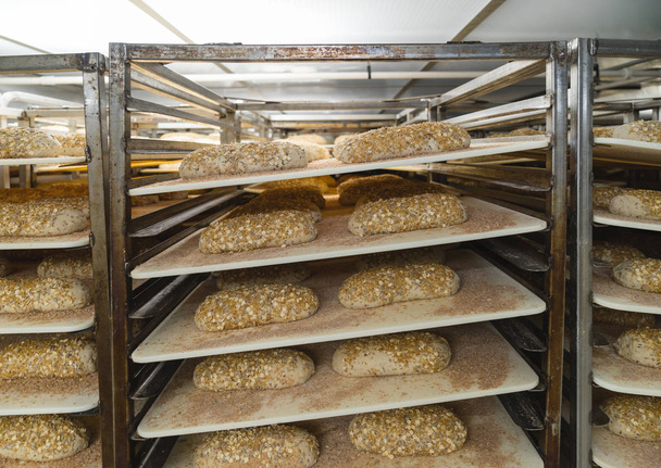 Bochníky chleba v místnosti pro korektury - Fotografie, Obrázek