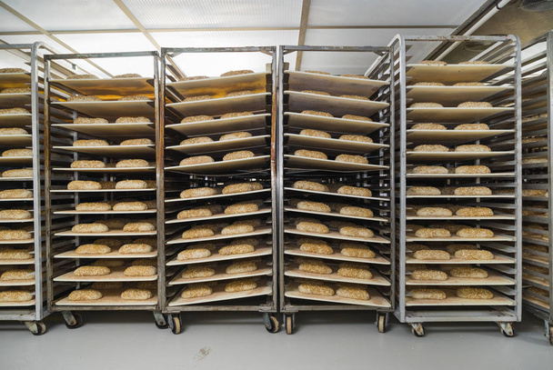 Невыпеченные буханки хлеба в комнате расстойки
  - Фото, изображение