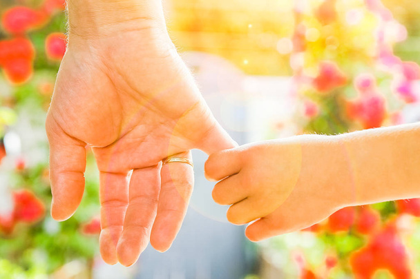 schöne Hände eines Kindes und eines Elternteils in einem Park in der Natur - Foto, Bild