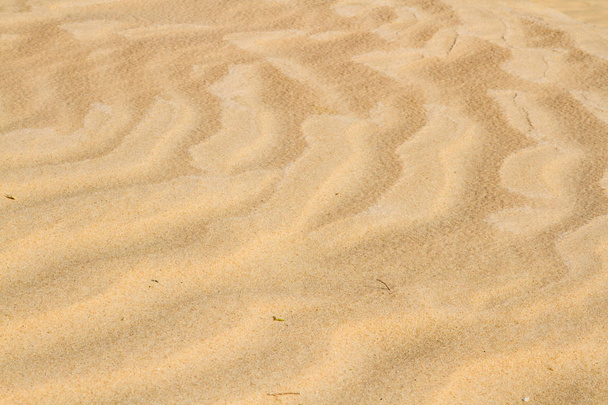 Sahara zand achtergrond. Close-up. Amazing Wave patroon Send Dune near El Oued, Algerije, Noord-Afrika,  - Foto, afbeelding