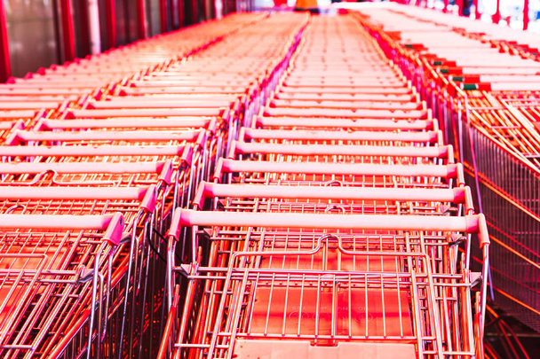 Trolleys for goods in a row from the store, supermarket.  - Photo, Image