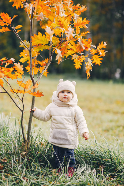 Little girl in a autumn park - Фото, изображение