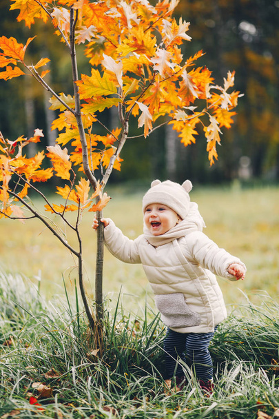 Little girl in a autumn park - Foto, afbeelding