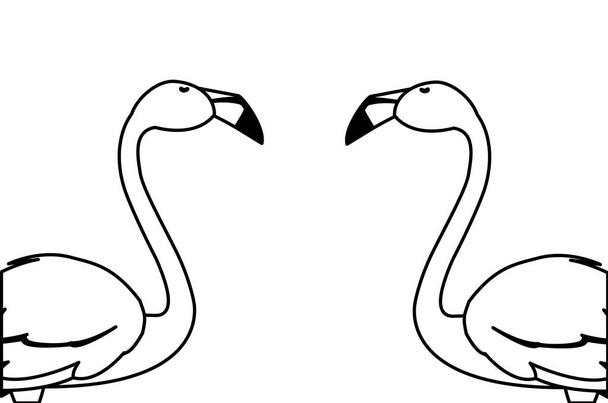 εξωτικό φλαμανδικό ζευγάρι πουλιά με το κεφάλι επάνω - Διάνυσμα, εικόνα