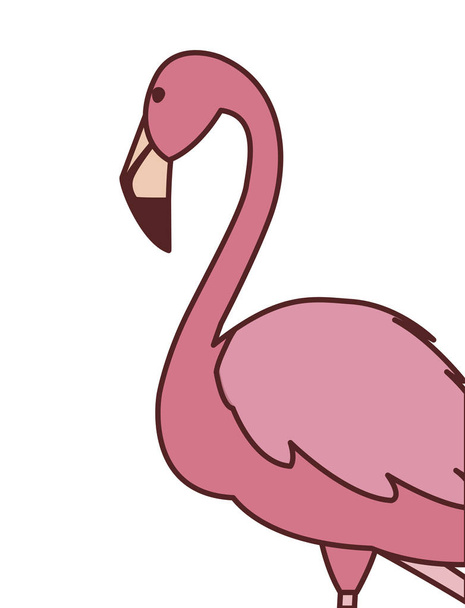 εξωτικό ροζ φλαμανδικό πουλί με το κεφάλι επάνω - Διάνυσμα, εικόνα