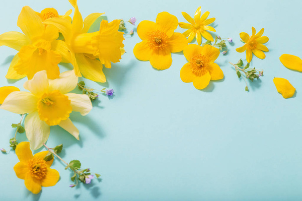 spring flowers on blue background - Photo, Image