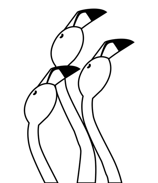 pareja flamenca exótica aves con cabezas arriba
 - Vector, Imagen