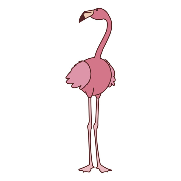 εξωτικό ροζ φλαμανδικό πουλί με το κεφάλι επάνω - Διάνυσμα, εικόνα