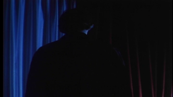 Rear view of man lifting curtain abruptly - Felvétel, videó